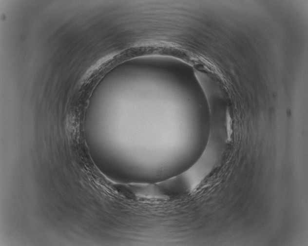 X0000083610872200702201247