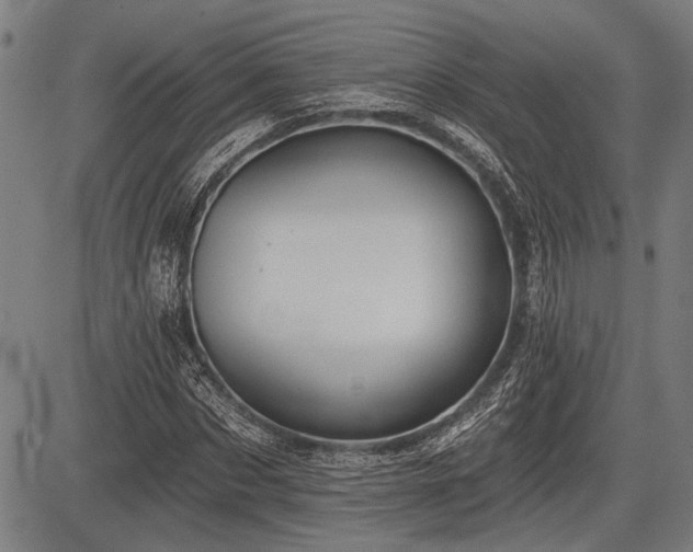 X0000083610873200702201247