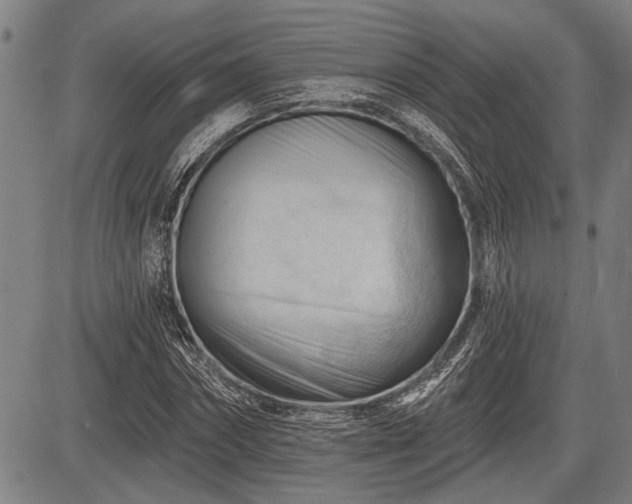 X0000083610874200702201247