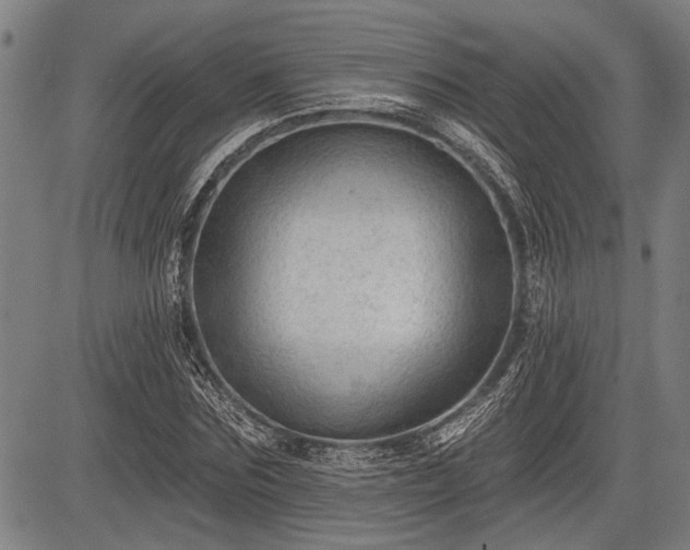 X0000083610875200702201247