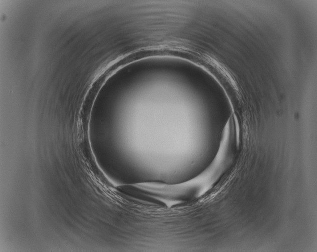 X0000083610876200702201247