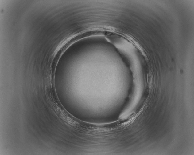 X0000083610877200702201247