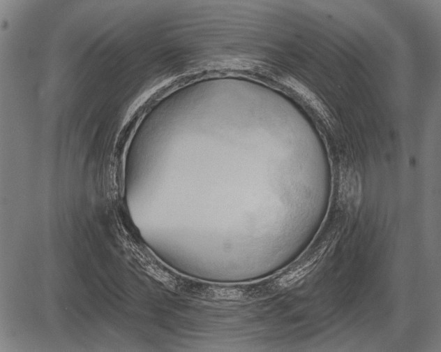 X0000083610878200702201247