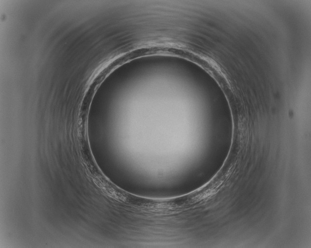 X0000083610879200702201247