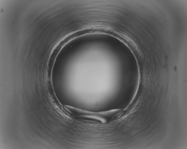 X0000083610880200702201247