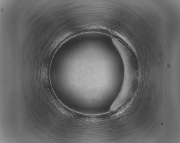 X0000083610881200702201247