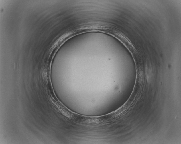 X0000083610882200702201247