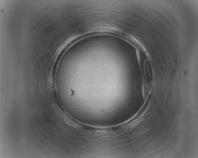 X0000083610883200702201247