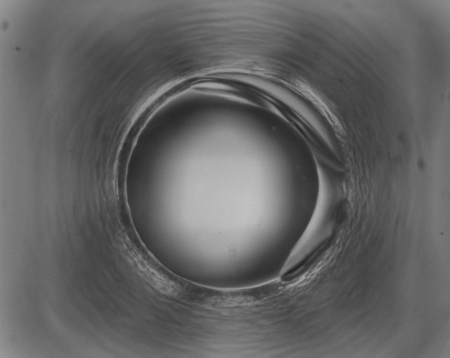 X0000083610884200702201247