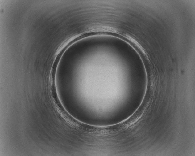 X0000083610885200702201247