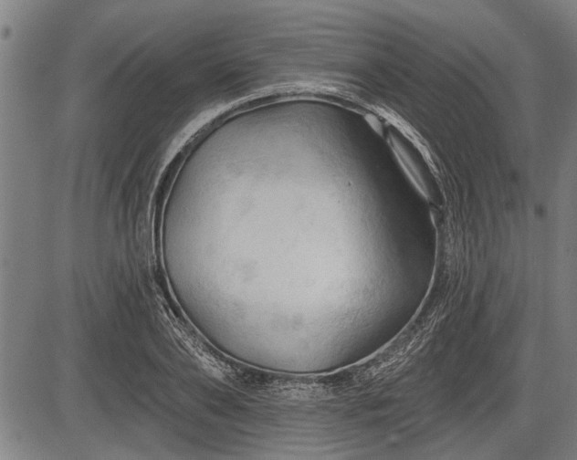 X0000083610886200702201247