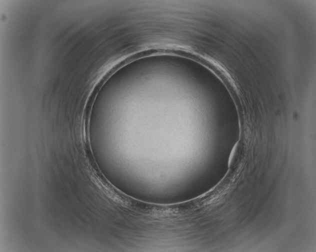 X0000083610887200702201247