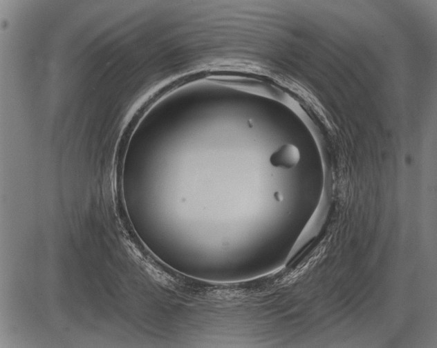 X0000083610888200702201247