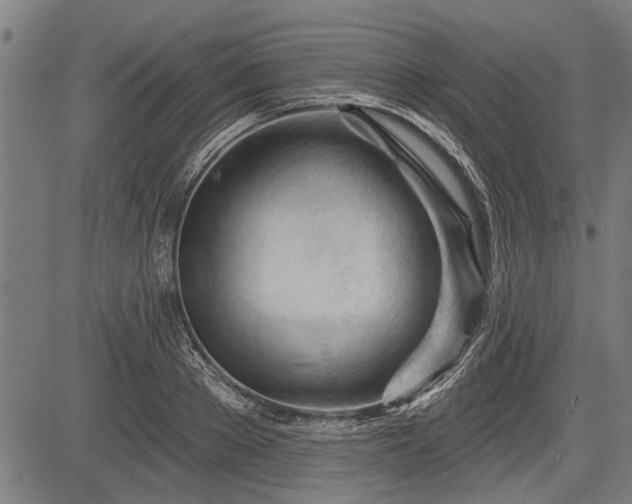 X0000083610889200702201247