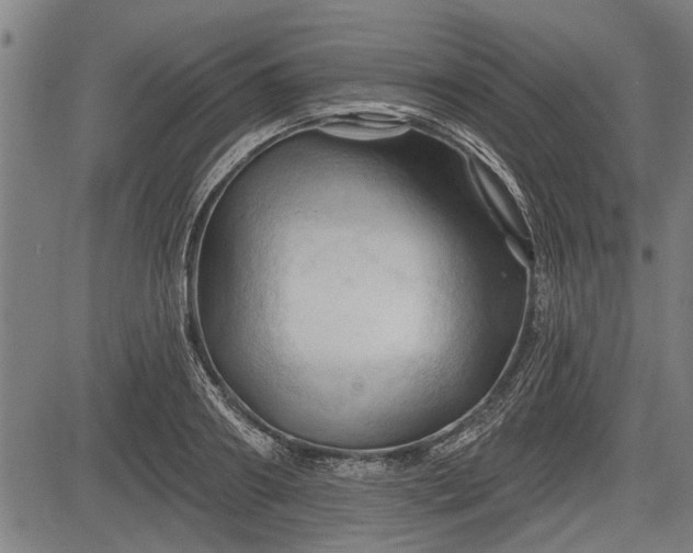 X0000083610890200702201247