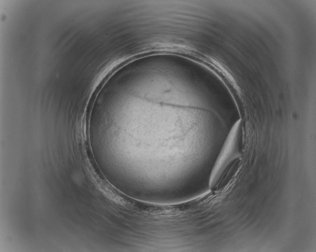 X0000083610891200702201247