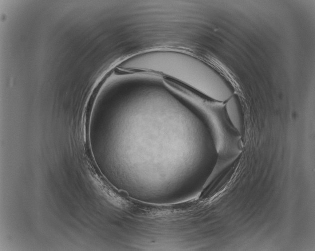 X0000083610892200702201247