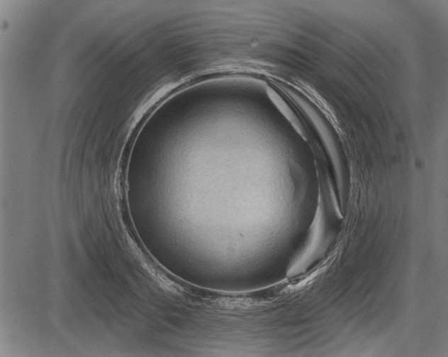 X0000083610893200702201247