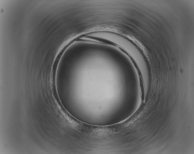 X0000083610894200702201247