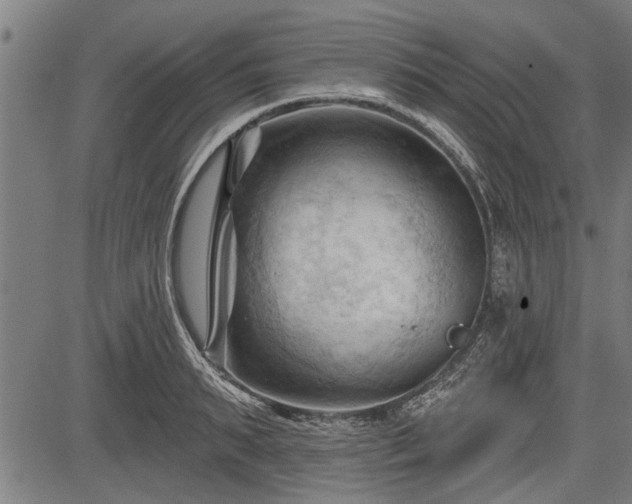 X0000083610895200702201247