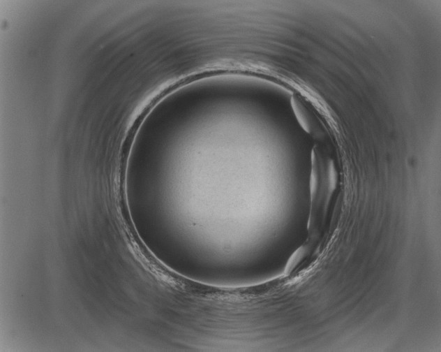 X0000083610896200702201247