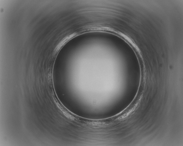 X0000083610897200702201247