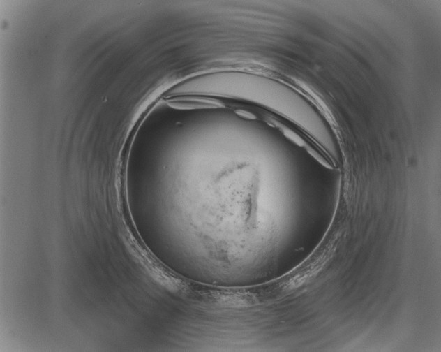 X0000083610899200702201247