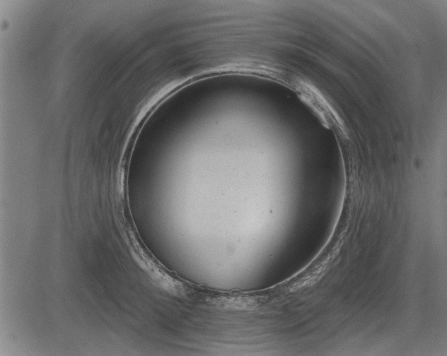 X0000083610900200702201246