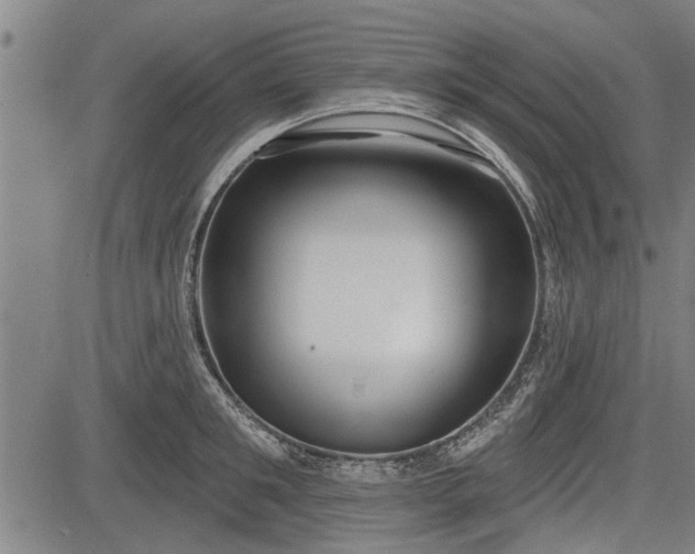 X0000083610901200702201246