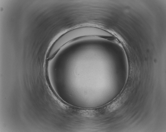 X0000083610902200702201246