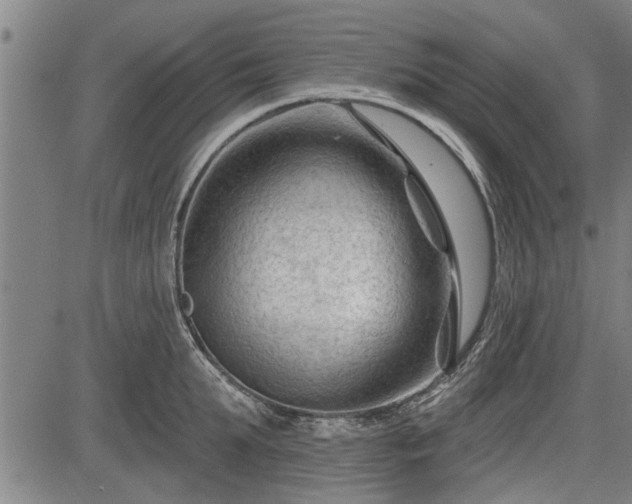 X0000083610903200702201246