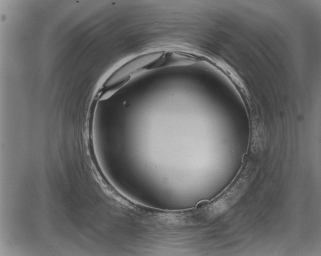 X0000083610904200702201246