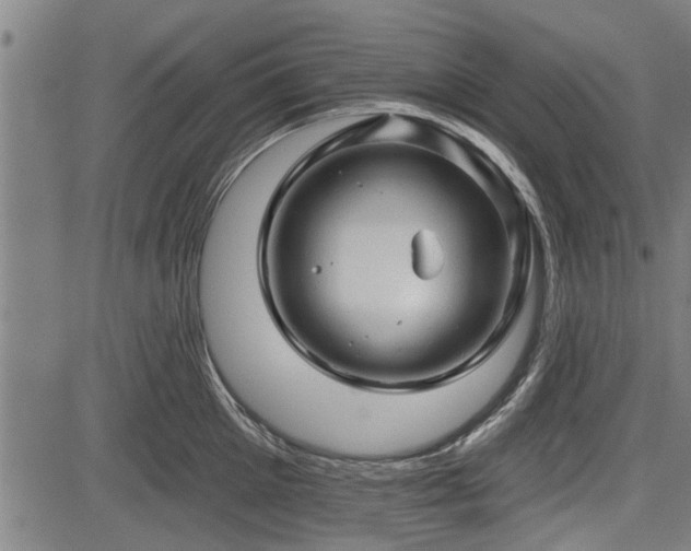 X0000083610905200702201246