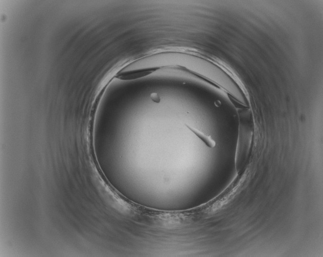 X0000083610906200702201246