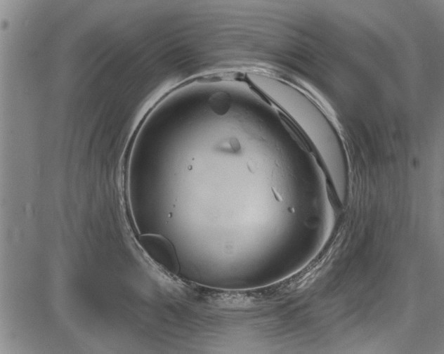 X0000083610907200702201246