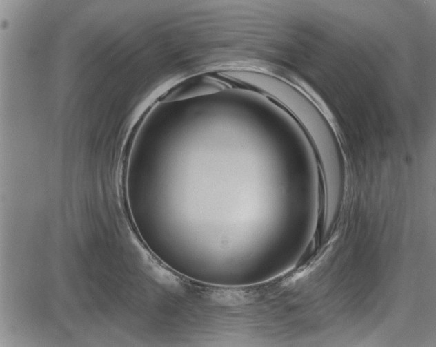 X0000083610909200702201246