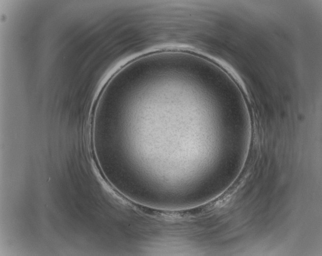 X0000083610911200702201246