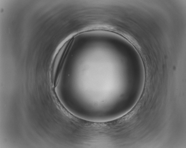 X0000083610912200702201246