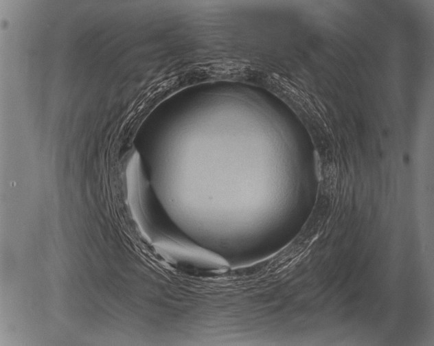 X0000083610913200702201245