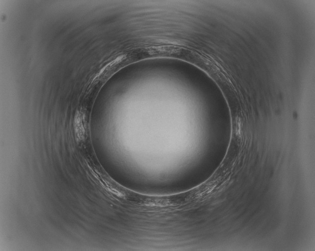 X0000083610915200702201245