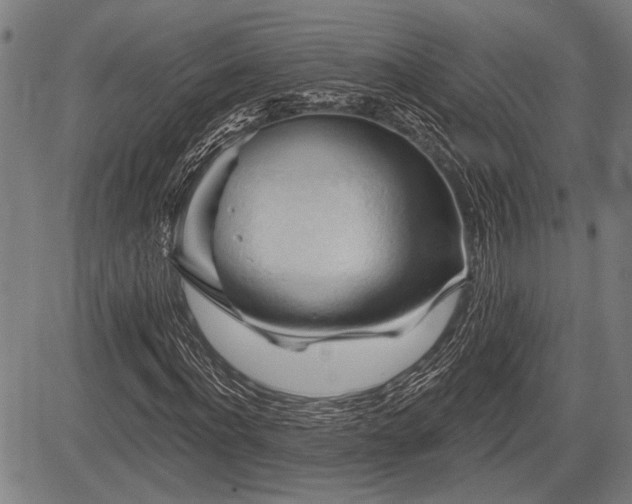 X0000083610916200702201245