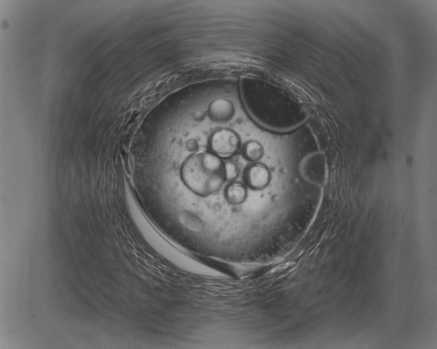 X0000083610917200702201246