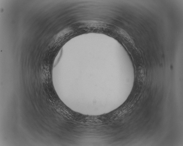 X0000083610918200702201246