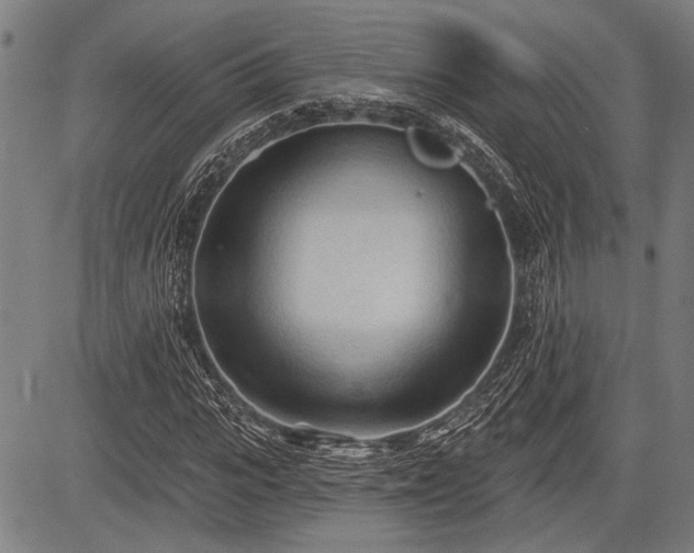 X0000083610919200702201246