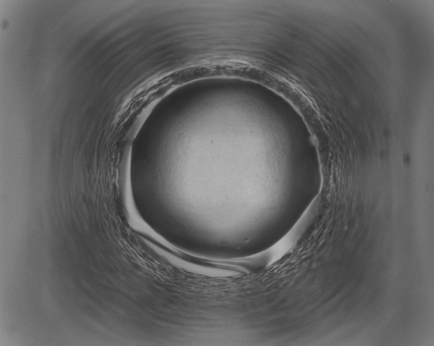 X0000083610920200702201246