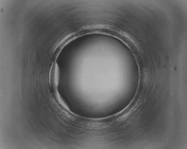 X0000083610921200702201246