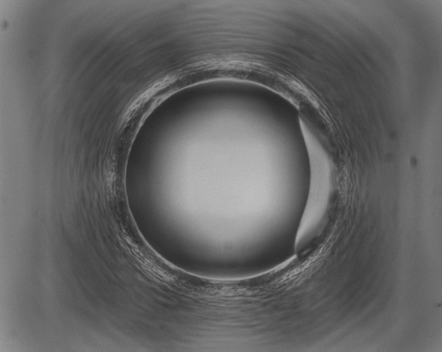 X0000083610922200702201246