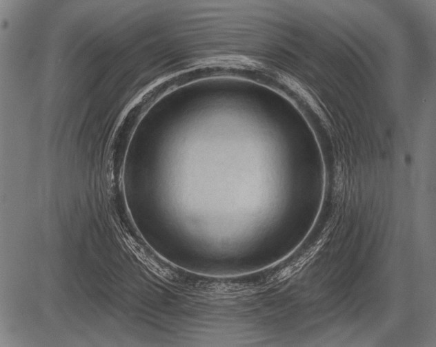 X0000083610923200702201246