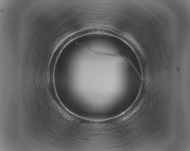 X0000083610924200702201246