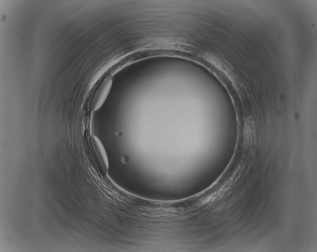 X0000083610925200702201246